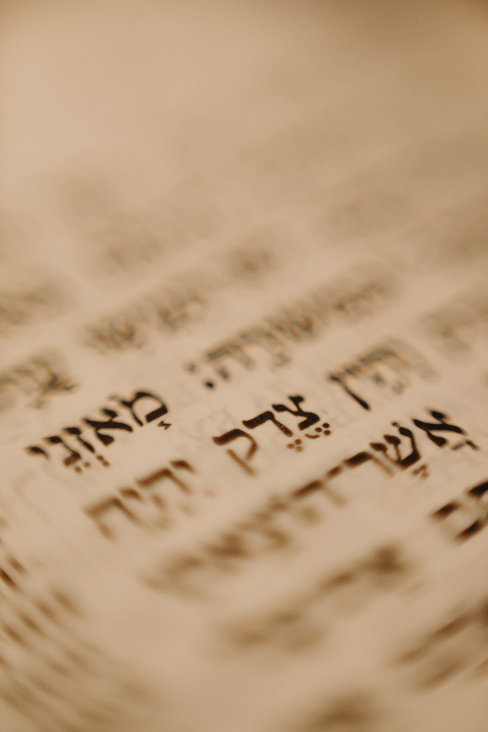 Taste of Talmud